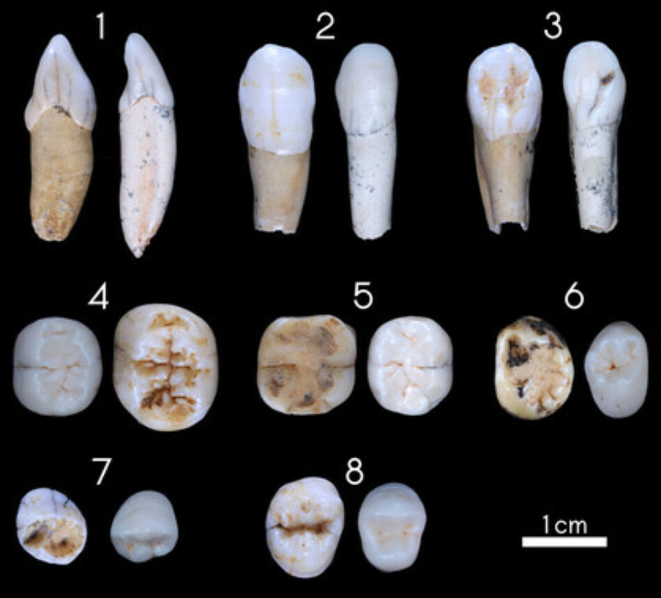 Un estudio cuestiona el origen europeo de los neandertales