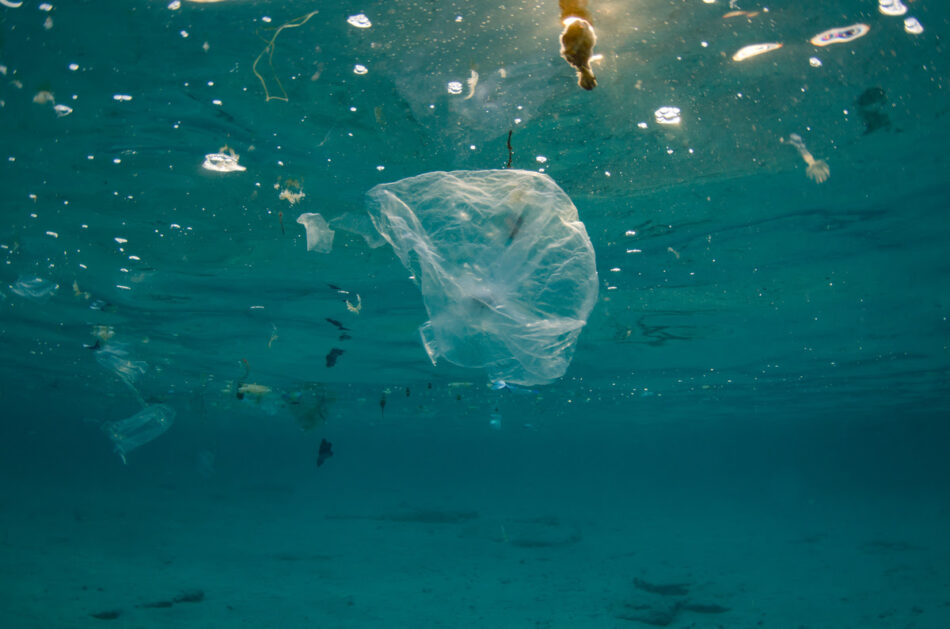 Greenpeace aplaude el avance de la Comisión Europea en la lucha contra la contaminación por plásticos