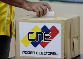 FANB garantizará derecho al voto y no aceptará injerencias externas en las elecciones presidenciales de Venezuela