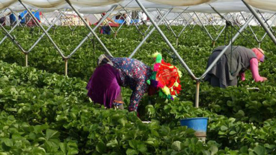 El Área de la Mujer de IU Andalucía exige que el Gobierno “defienda a ultranza” a las mujeres que trabajan como temporeras en Huelva