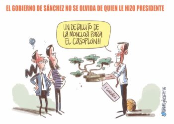 agradecimientos