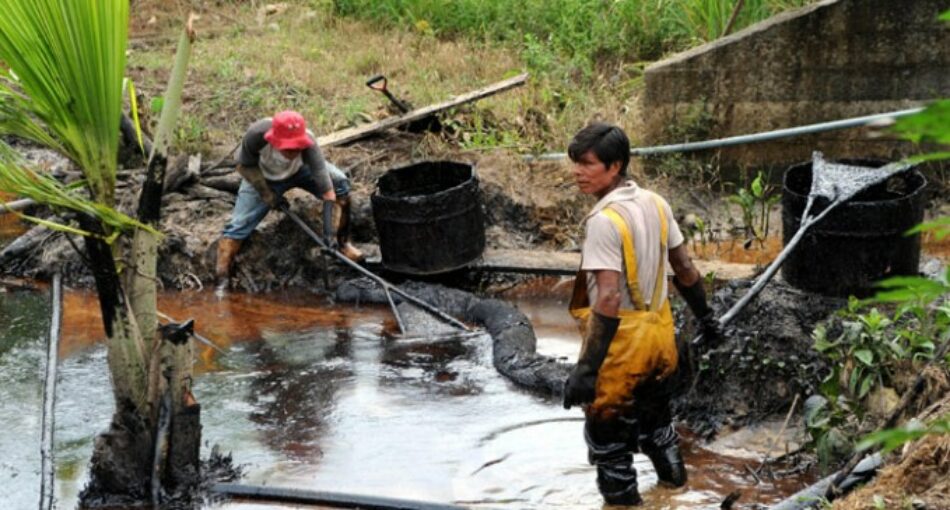 Selva del Amazonas: Causas y consecuencias de la destrucción del pulmón del planeta