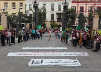 Profesores interios andaluces de las universidades de Sevilla, Málaga y Granada vuelven a manifestarse «por una carrera docente digna»