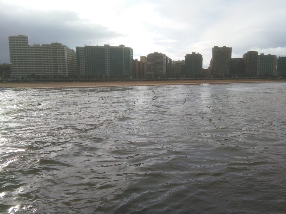 Organizaciones ecologistas denuncian que el Ayuntamiento de Gijón puso en peligro la salud de los usuarios de la playa de San Lorenzo