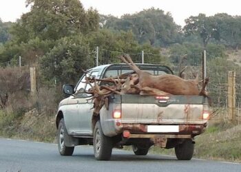 Organizaciones ecologistas de Extremadura exigen el cese de la caza en los espacios protegidos de la región