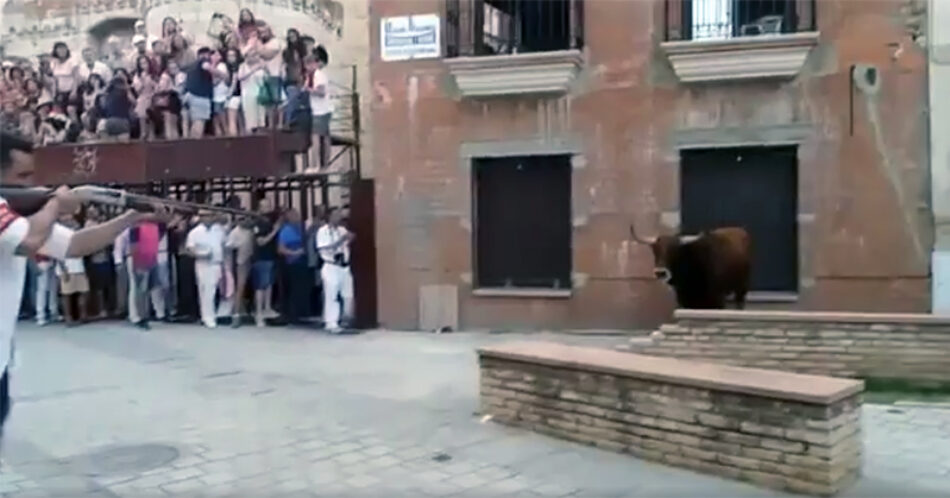 La Plataforma La Tortura No es Cultura denuncia a Coria por matar públicamente al toro de un tiro