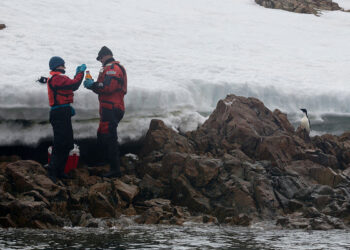 Una investigación de Greenpeace encuentra plásticos y sustancias químicas peligrosas en el agua y la nieve de la Antártida