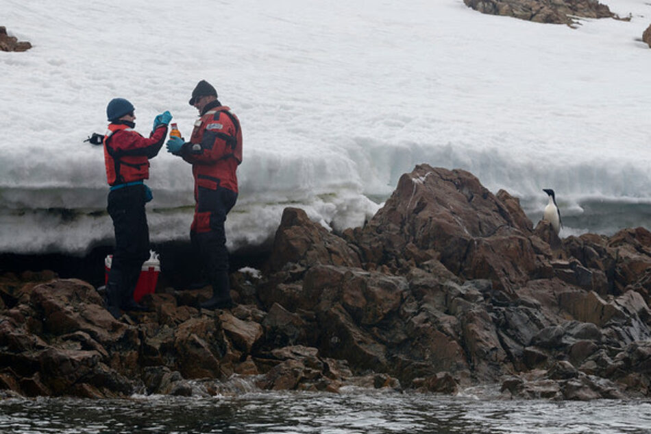 Una investigación de Greenpeace encuentra plásticos y sustancias químicas peligrosas en el agua y la nieve de la Antártida