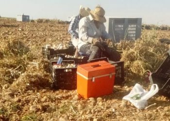 El campo cordobés, una auténtica selva