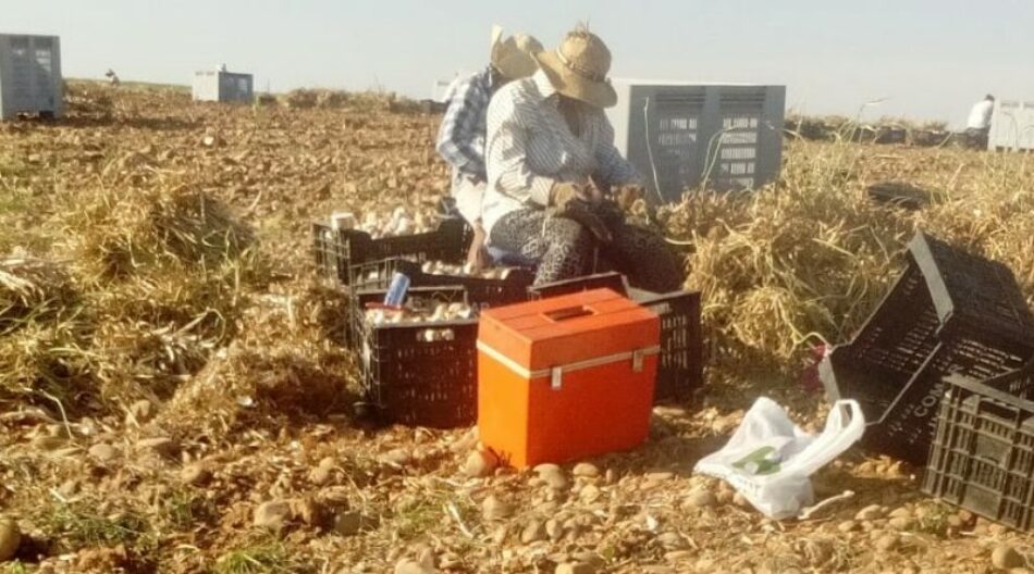 El campo cordobés, una auténtica selva