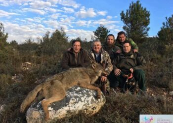 Crónica de muertes anunciadas de lobos en la Sierra de la Culebra, Zamora