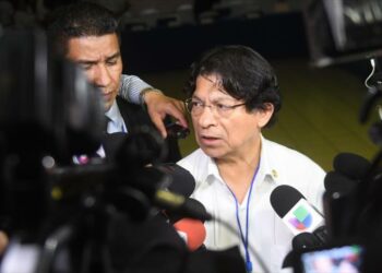 Nicaragua reclama a la OEA que condene ‘terrorismo de la derecha’
