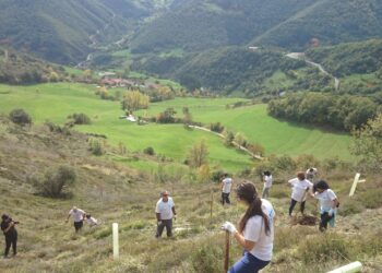 Quedan 900 días para detener la pérdida de biodiversidad