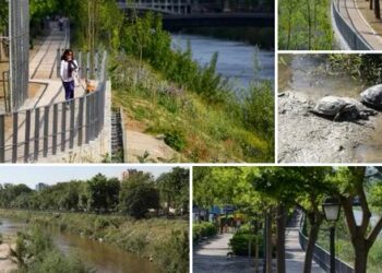 EQUO apoyará un nuevo acuerdo sobre la renaturalización del Manzanares
