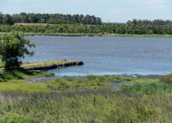Uruguay. Docentes de Ciencias denuncian “decreto mordaza” que limita la investigación sobre el agua