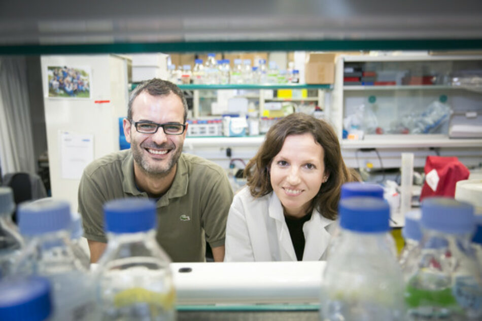 “Comemos demasiadas grasas y eso aumenta el riesgo de cáncer”