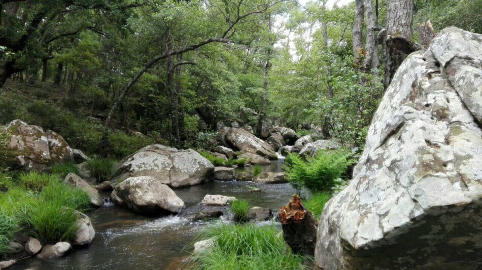 Propuestas para la gestión de las reservas naturales fluviales