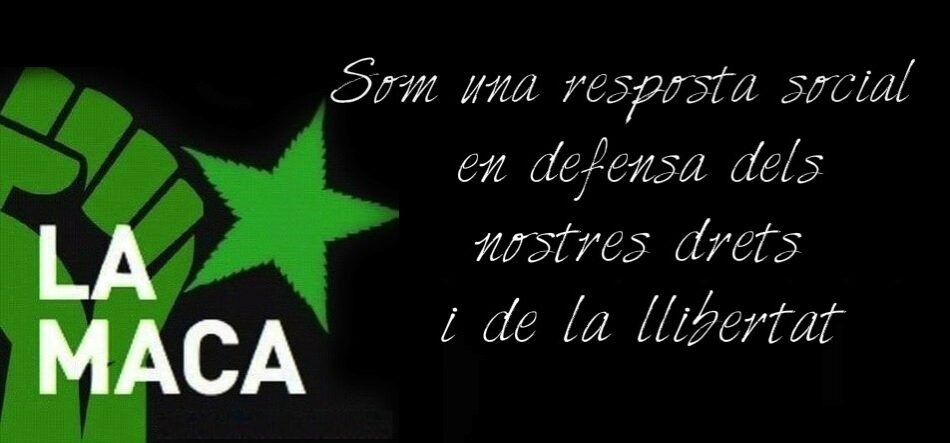 Tras cuatro causas archivadas, la asociación cannábica «La MACA» es absuelta en el primer juicio