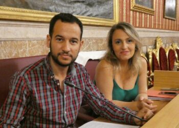 IU Sevilla denuncia el bloqueo de los debates sobre el Reglamento Orgánico del Ayuntamiento y sobre Participación ciudadana