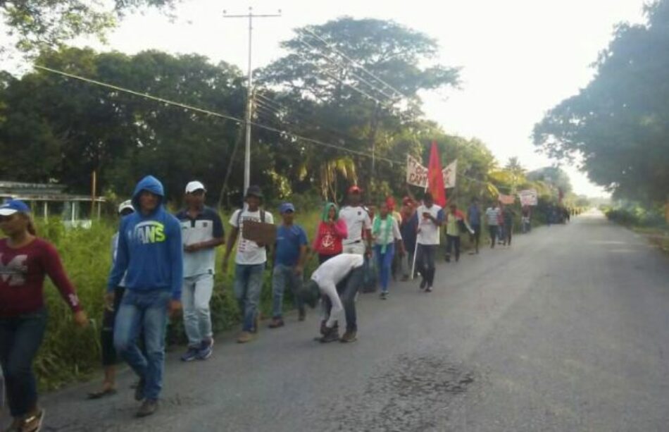 Venezuela: Continúa la marcha campesina hacia Caracas