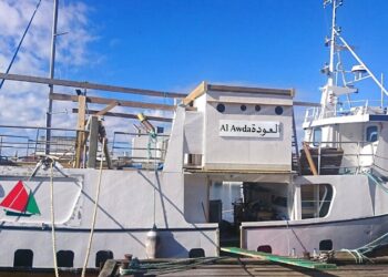 La Flotilla de la Libertad se encuentra frente a la costa de Gaza ante la amenaza de inminente asalto de la Marina Israelí