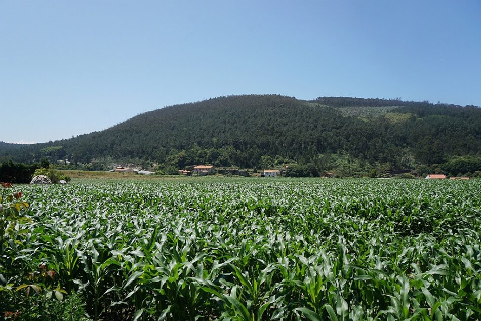 Salvemos Cabana critica a la Consellería de Industria por primar el beneficio empresarial frente al interés general en el proyecto eólico Pena Forcada-Catasol II