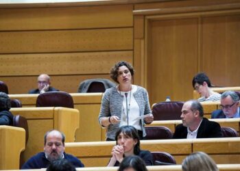 En Comú Podem quiere saber si el Gobierno asumirá el compromiso de aumentar fondos para la UNRWA