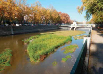 Concentración para que el río Manzanares vuelva a fluir libremente