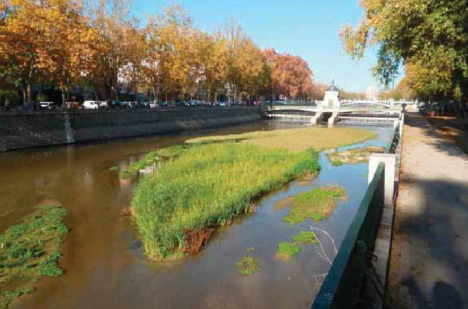 Concentración para que el río Manzanares vuelva a fluir libremente