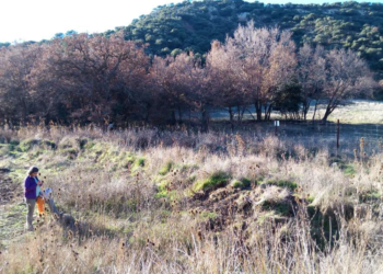 El impacto negativo de la caza en el medio rural crece