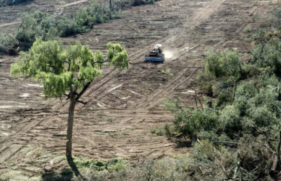 El Chaco paraguayo en la mira de la soja