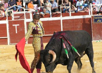 Galcia, Mellor Sen Touradas y la Fundación Franz Weber lanzan ‘la campaña final’ para prohibir la tauromaquia