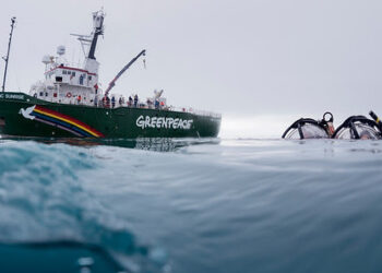 Greenpeace encuentra ecosistemas vulnerables en el fondo de la Antártida que deben ser protegidos
