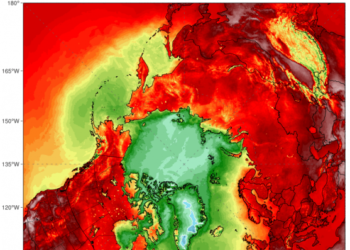 Reactivo: Olas de calor e incendios en todo el mundo