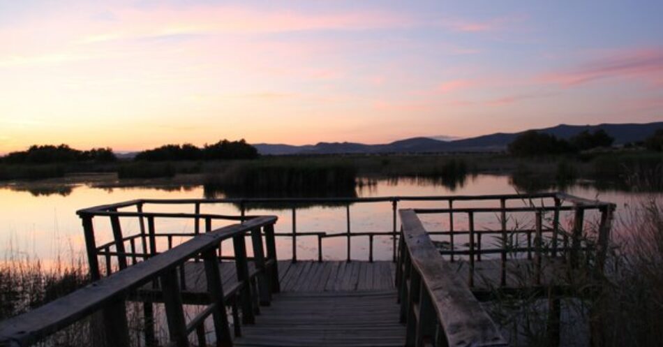 Organizaciones ecologistas alertan de los riesgos de sobreexplotar más los acuíferos de Castilla-La Mancha