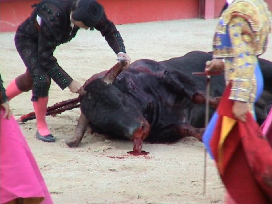 Piden el fin de las subvenciones a la tauromaquia tras tres graves heridos