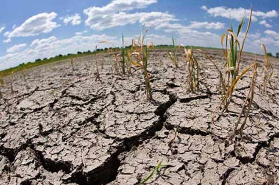 Crece riesgo global por degradación del suelo