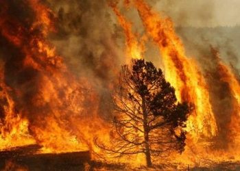 Esquerda Unida denuncia que a Xunta de Galicia segue a suspender na planificación e prevención de lumes