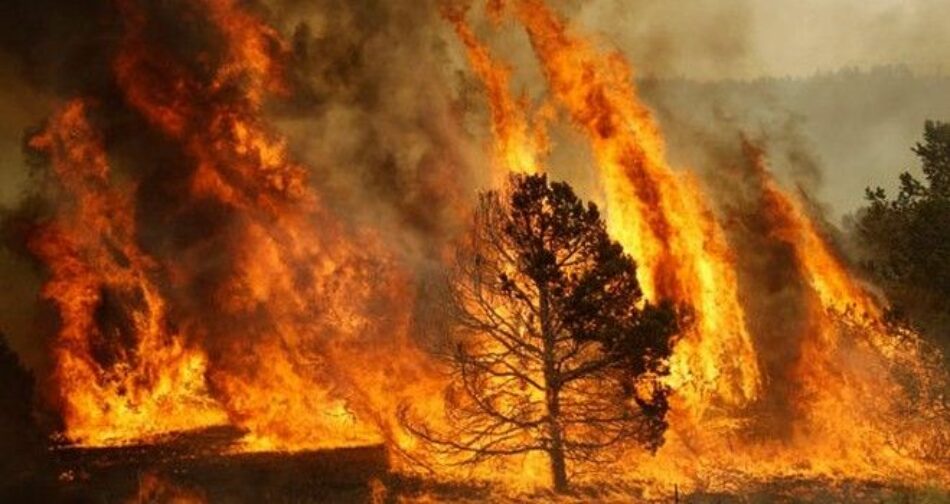 Esquerda Unida denuncia que a Xunta de Galicia segue a suspender na planificación e prevención de lumes