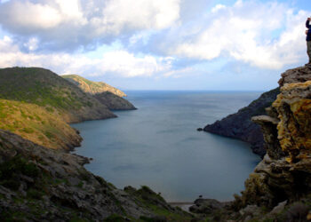 CatECP insta el Govern a aturar la construcció de 40 habitatges en un terreny forestal entre primera línia de mar i el Parc Natural del Cap de Creus