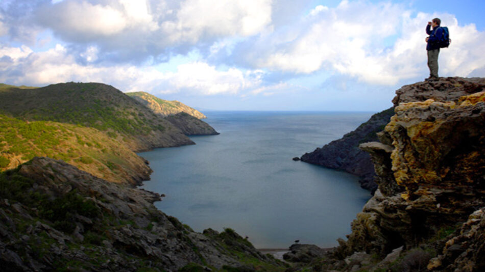 CatECP insta el Govern a aturar la construcció de 40 habitatges en un terreny forestal entre primera línia de mar i el Parc Natural del Cap de Creus