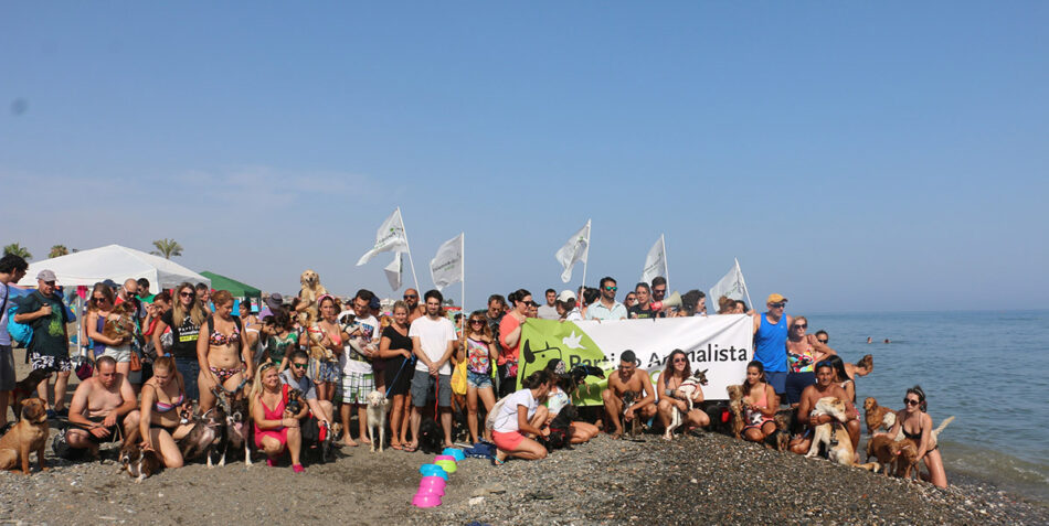 Concentraciones con perros en las playas españolas #PlayasParaTodos