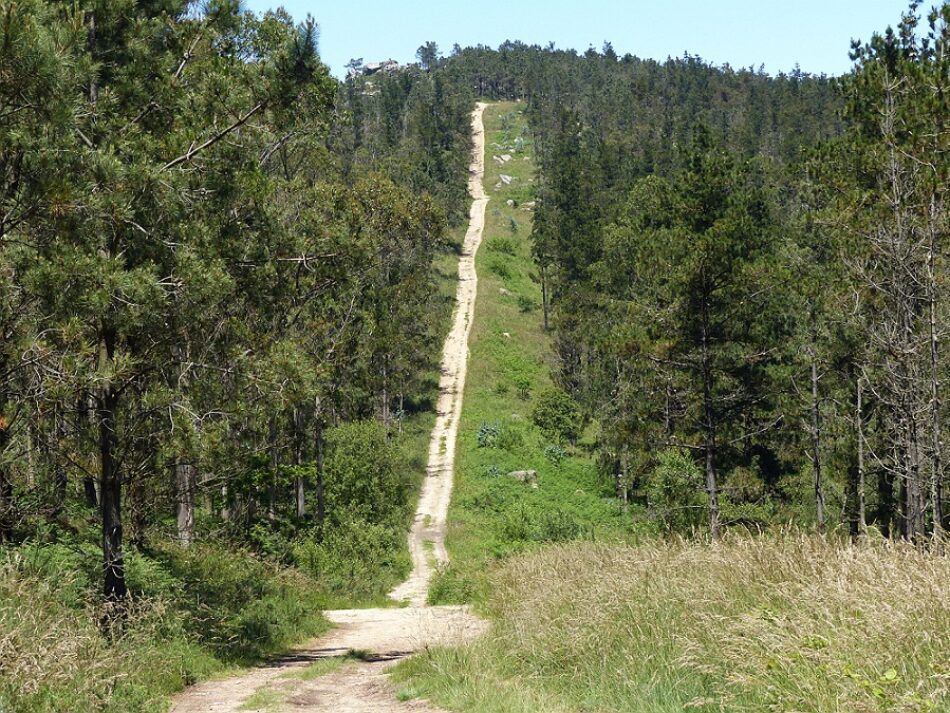 Cabana se «estrella» en la protección del patrimonio de los montes de Borneiro