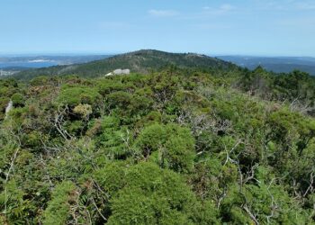 Antón Sánchez: «A autorización ambiental do parque eólico Mouriños non garante a preservación dos valores naturais, patrimoniais e paisaxísticos da zona afectada»