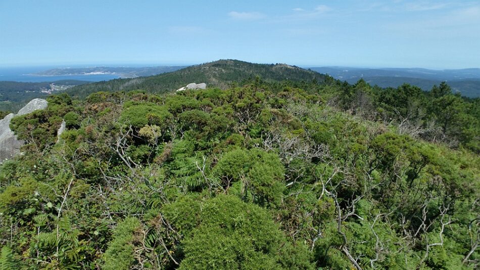 Antón Sánchez: «A autorización ambiental do parque eólico Mouriños non garante a preservación dos valores naturais, patrimoniais e paisaxísticos da zona afectada»