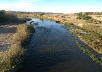 EQUO pide explicaciones por la contaminación radiactiva en el Jarama