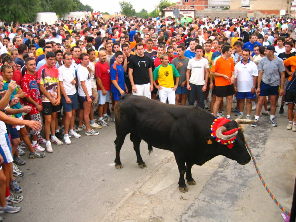 EQUO reclama la eliminación del Toro de Cuerda de Carcabuey por maltrato animal