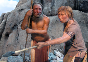 Los neandertales tenían cerca de un 20% más de capacidad pulmonar que los ‘sapiens’