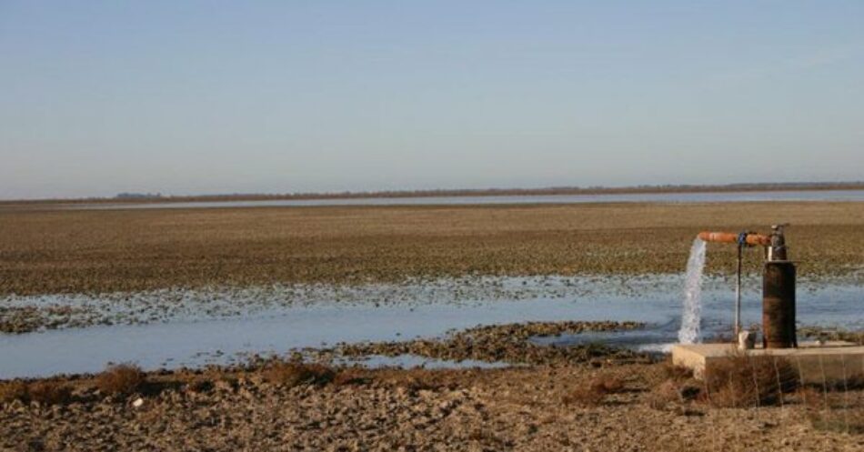 EQUO urge a proteger a los agentes medioambientales en Doñana