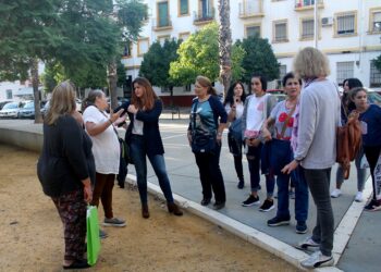 Participa advierte “de la dejadez y de la falta de mantenimiento” que sufren las zonas infantiles y deportivas de Pedro Salvador